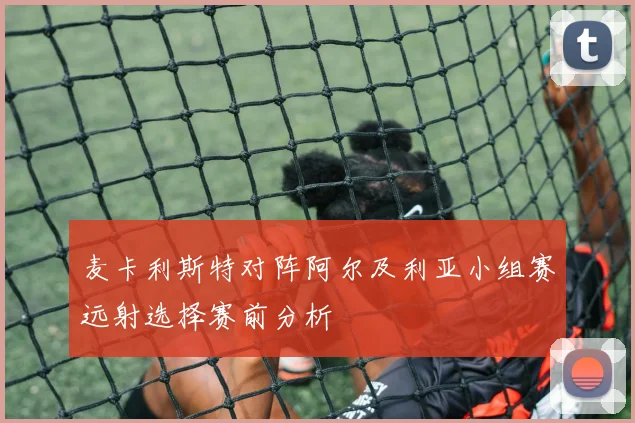 麦卡利斯特对阵阿尔及利亚小组赛远射选择赛前分析