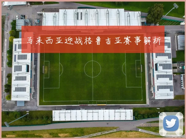 马来西亚迎战格鲁吉亚赛事解析