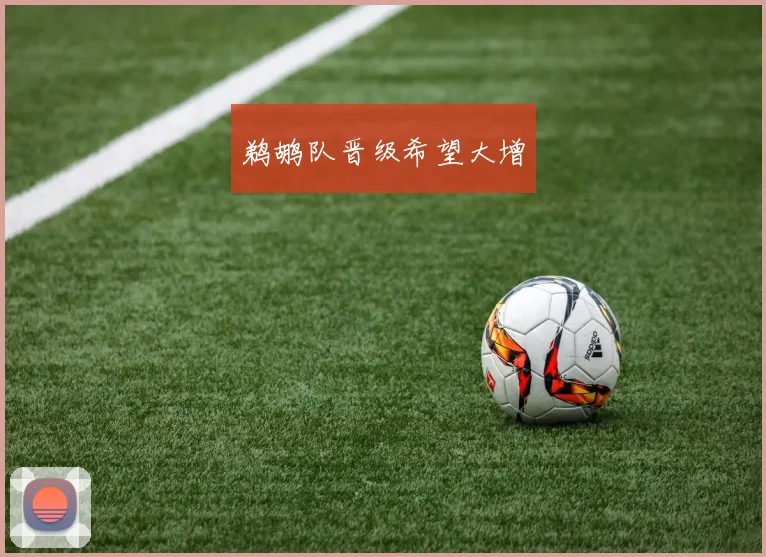 鹈鹕队晋级希望大增
