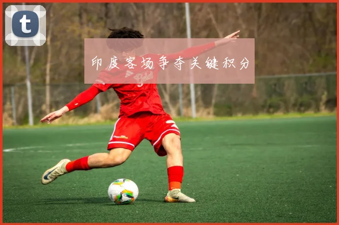 印度客场争夺关键积分