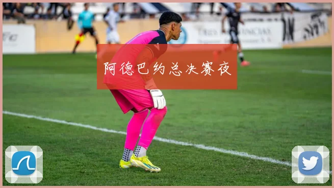 阿德巴约总决赛夜