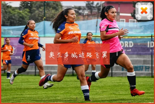 奥兰多城边路飞翼