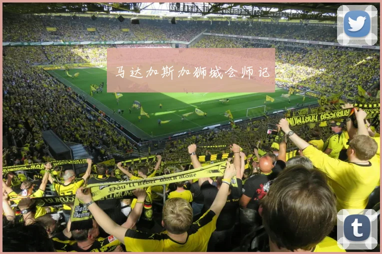 马达加斯加狮城会师记