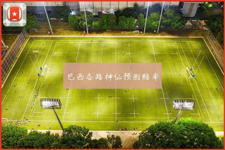 巴西各路神仙预测赔率