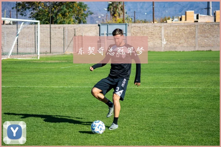 东契奇总冠军梦