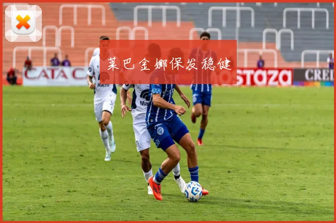 莱巴金娜保发稳健