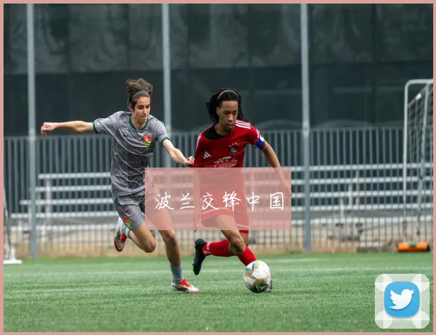 波兰交锋中国