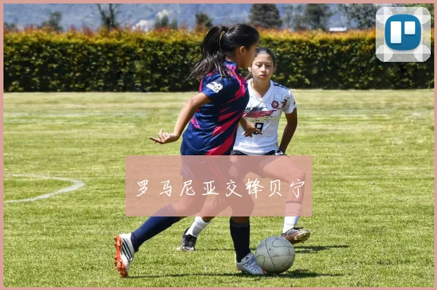 罗马尼亚交锋贝宁
