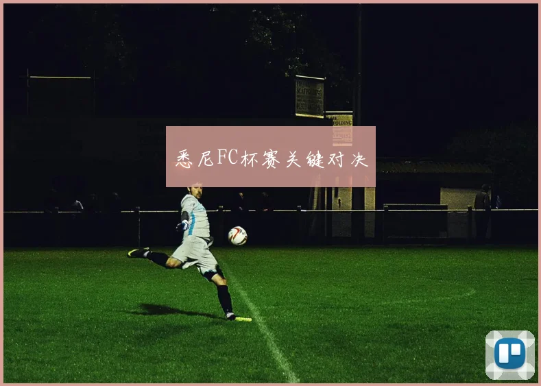 悉尼FC杯赛关键对决