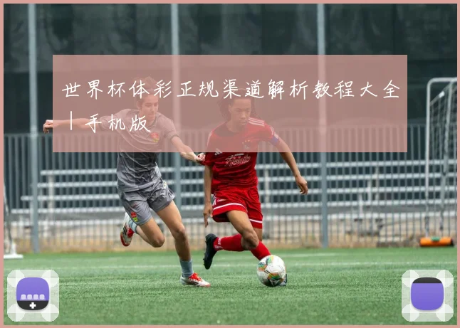世界杯体彩正规渠道解析教程大全｜手机版