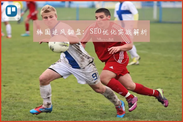 韩国逆风翻盘：SEO优化实战解析