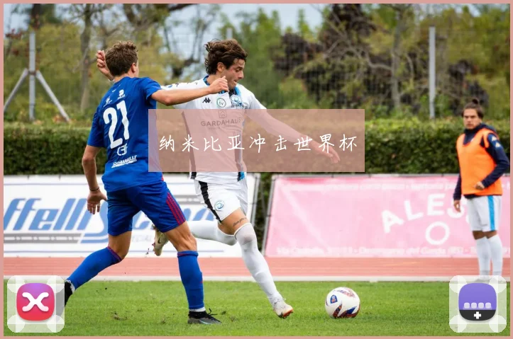 纳米比亚冲击世界杯