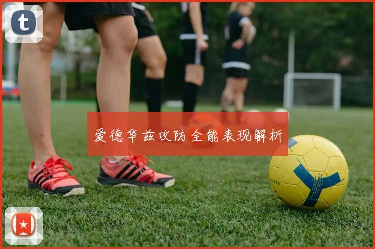 爱德华兹攻防全能表现解析