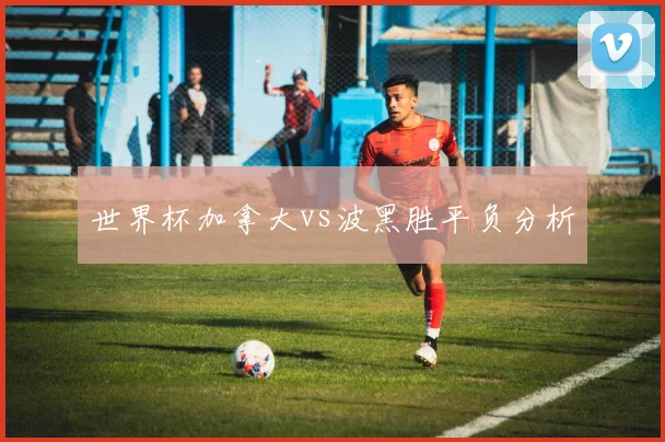 世界杯加拿大vs波黑胜平负分析