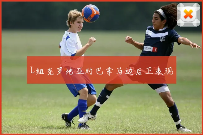 L组克罗地亚对巴拿马边后卫表现