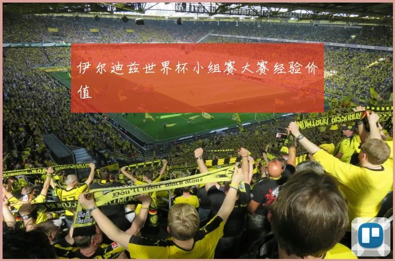 伊尔迪兹世界杯小组赛大赛经验价值