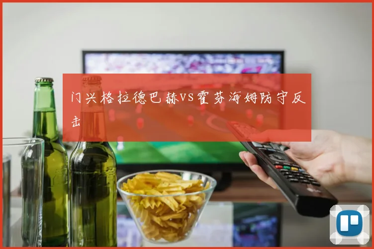 门兴格拉德巴赫vs霍芬海姆防守反击