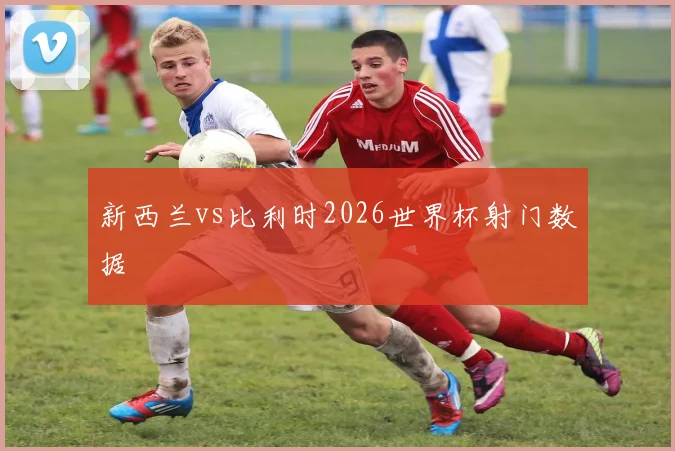新西兰vs比利时2026世界杯射门数据