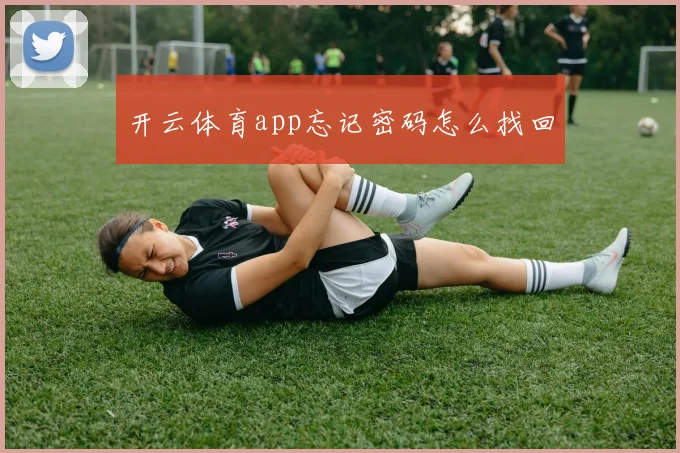 开云体育app忘记密码怎么找回